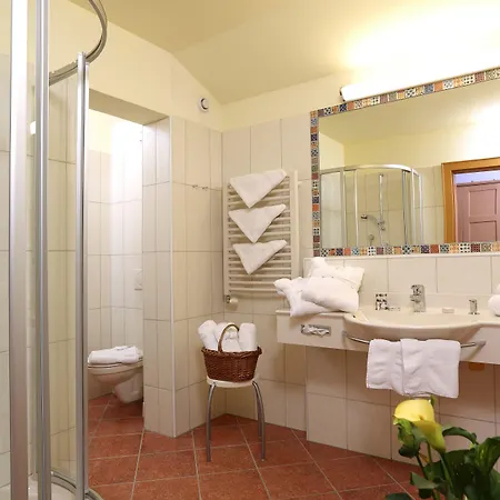 Hotel Alpina Wagrain