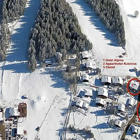 Otel Alpina